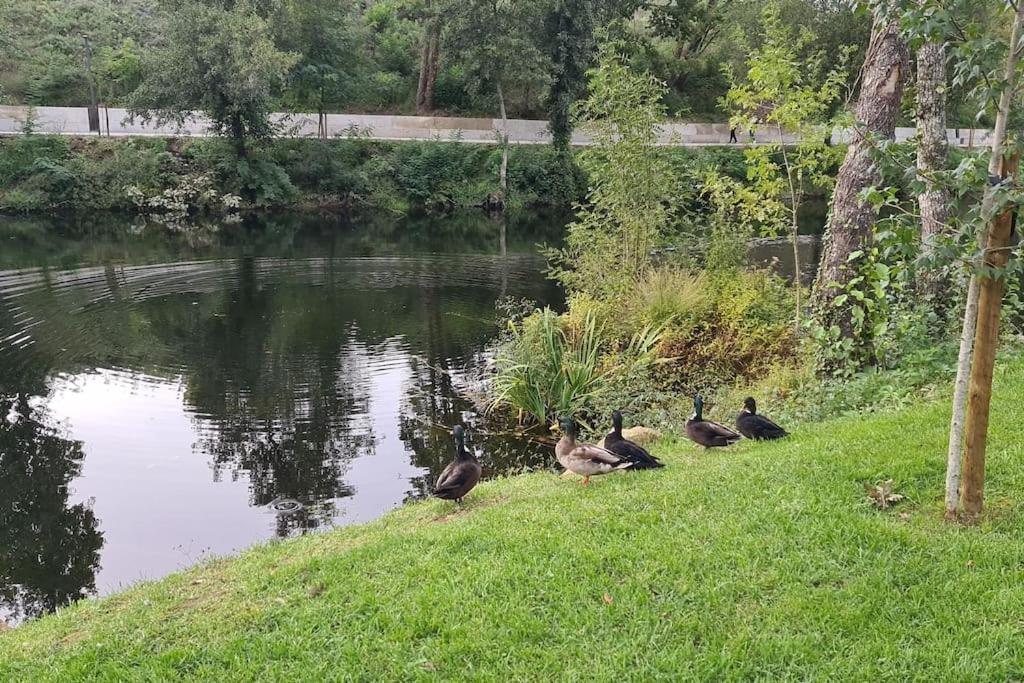 Apartment Nature E Al: Thermal Wellness Retreat With Municipal Pools