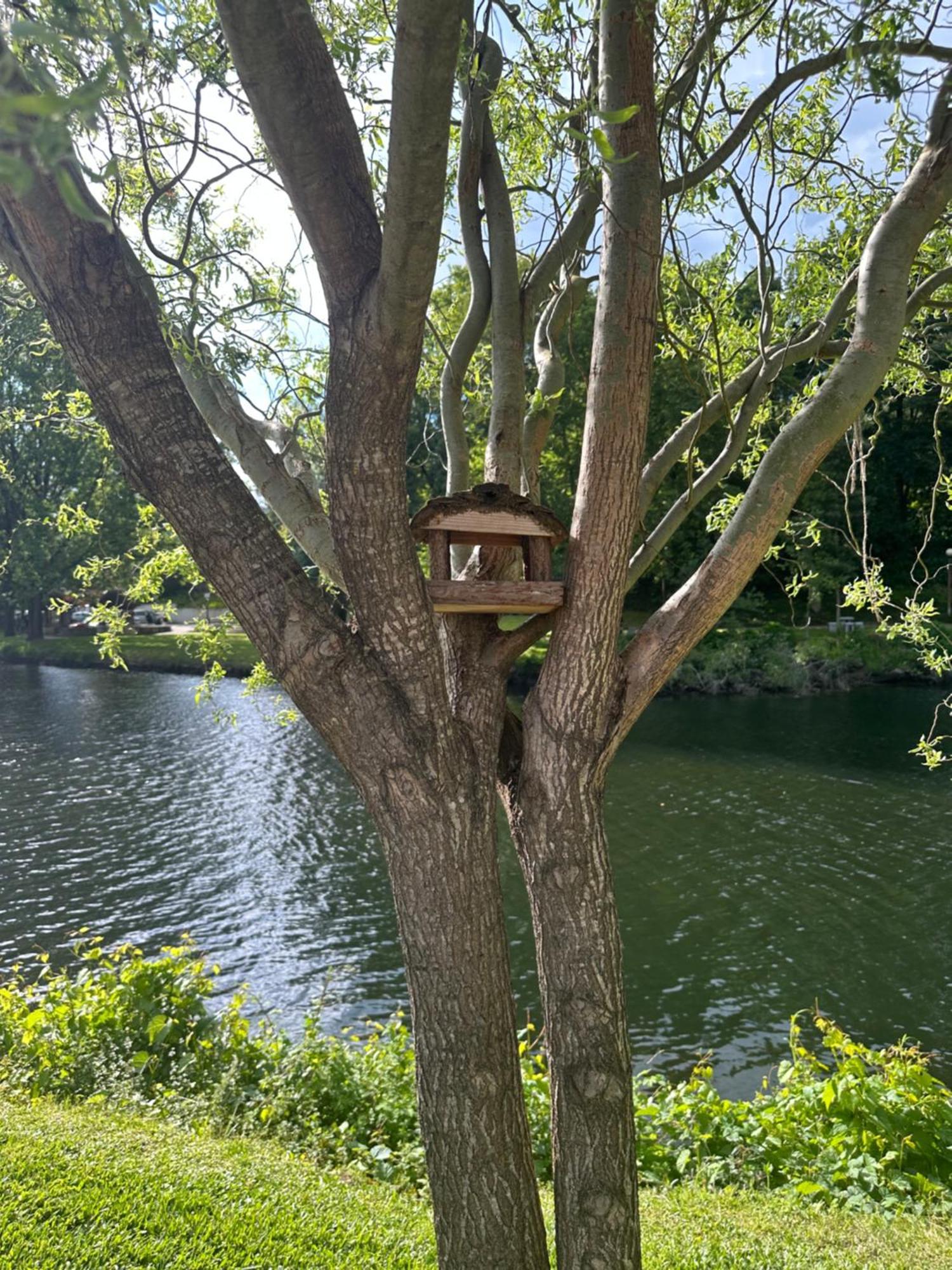 Nature E Al: Thermal Wellness Retreat With Municipal Pools * Sao Pedro do Sul